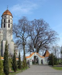 Sanktuarium Matki Bożej z Dzieciątkiem w Dębem