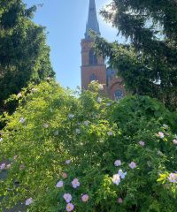 Sanktuarium Matki Bożej Popowskiej, Matki nadziei w Popowie Kościelnym