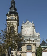 Sanktuarium Matki Bożej Dzikowskiej w Tarnobrzegu