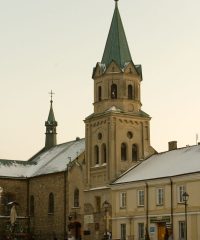Sanktuarium Matki Bożej Pocieszenia Pani Ziemi Sanockiej